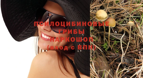 СК Абдулино