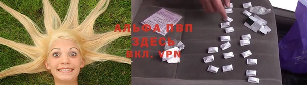 амф Абинск