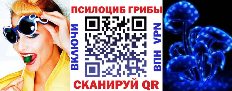 Галлюциногенные грибы Magic Shrooms  закладка  Протвино 